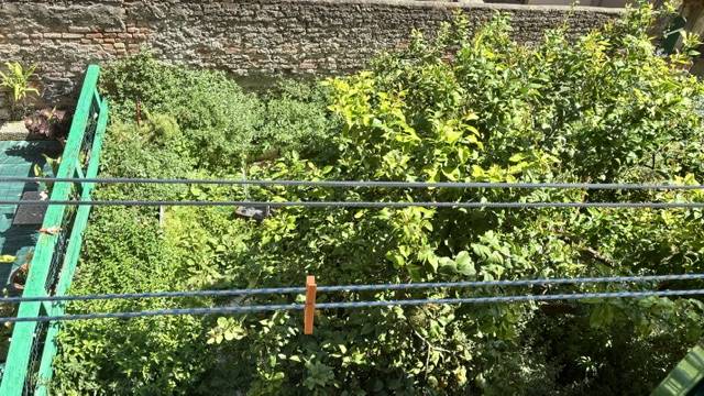 Appartamento in affitto a Ventimiglia