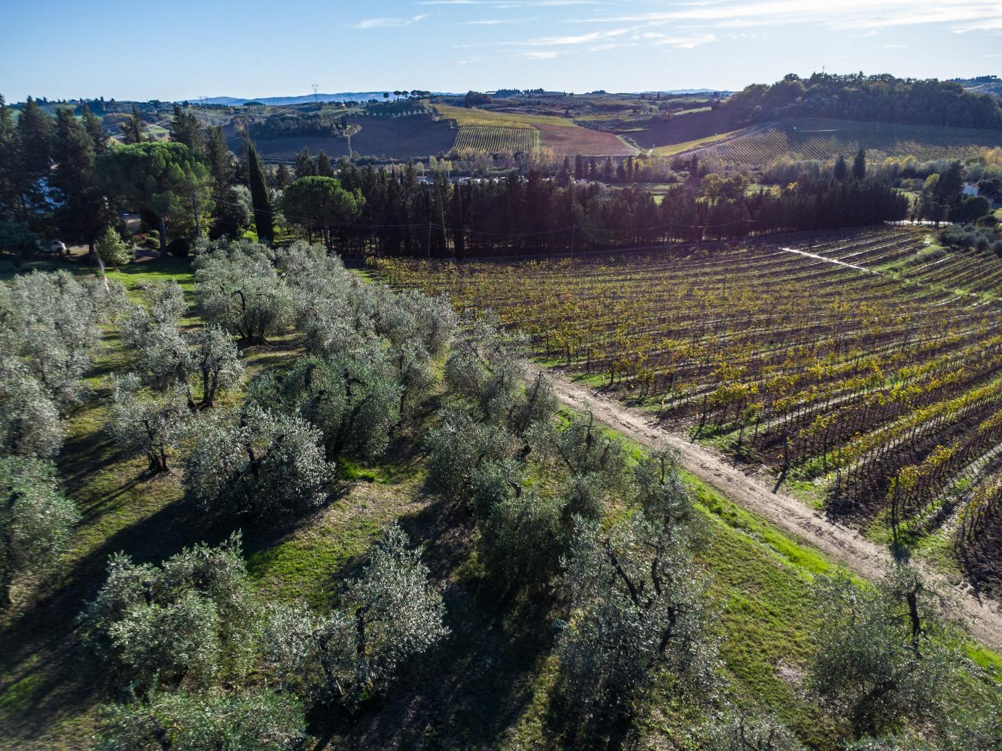 Attivit commerciale in vendita a Empoli