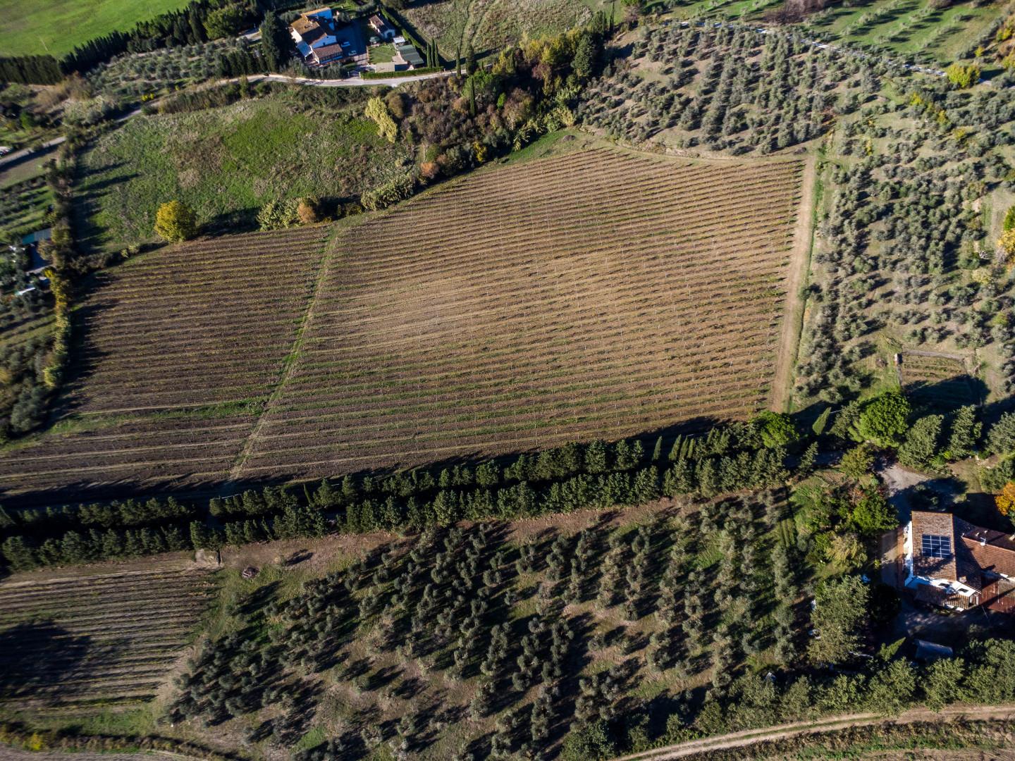 immagine annuncio 2 di 6