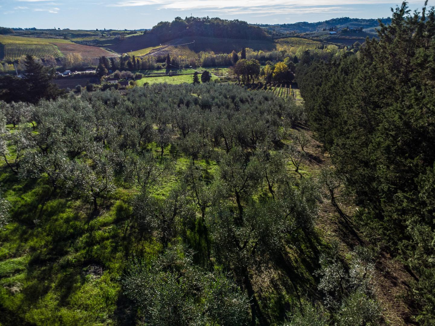 immagine annuncio 4 di 6