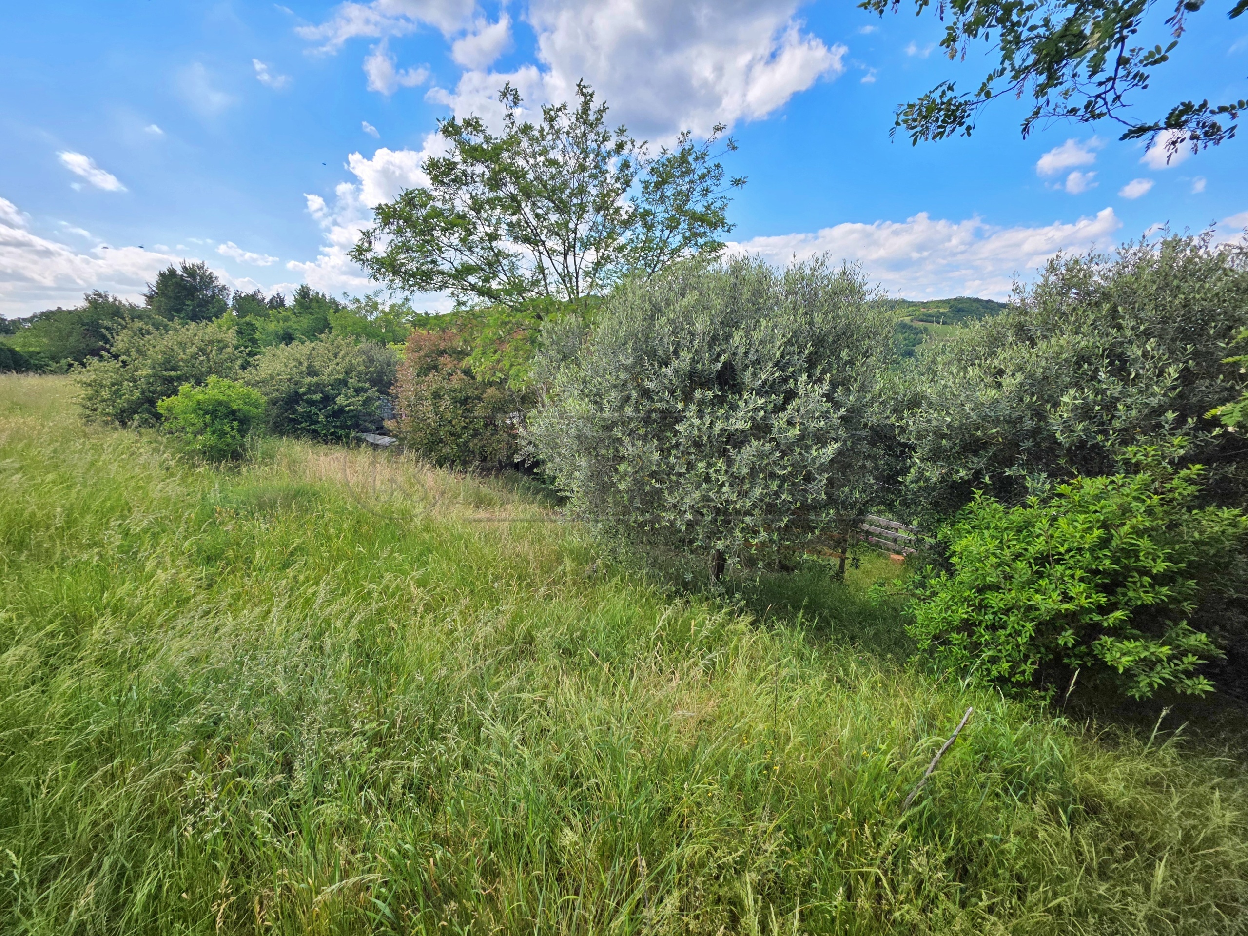 Magazzino da ristrutturare in via la fenice 29-17, Ronc�