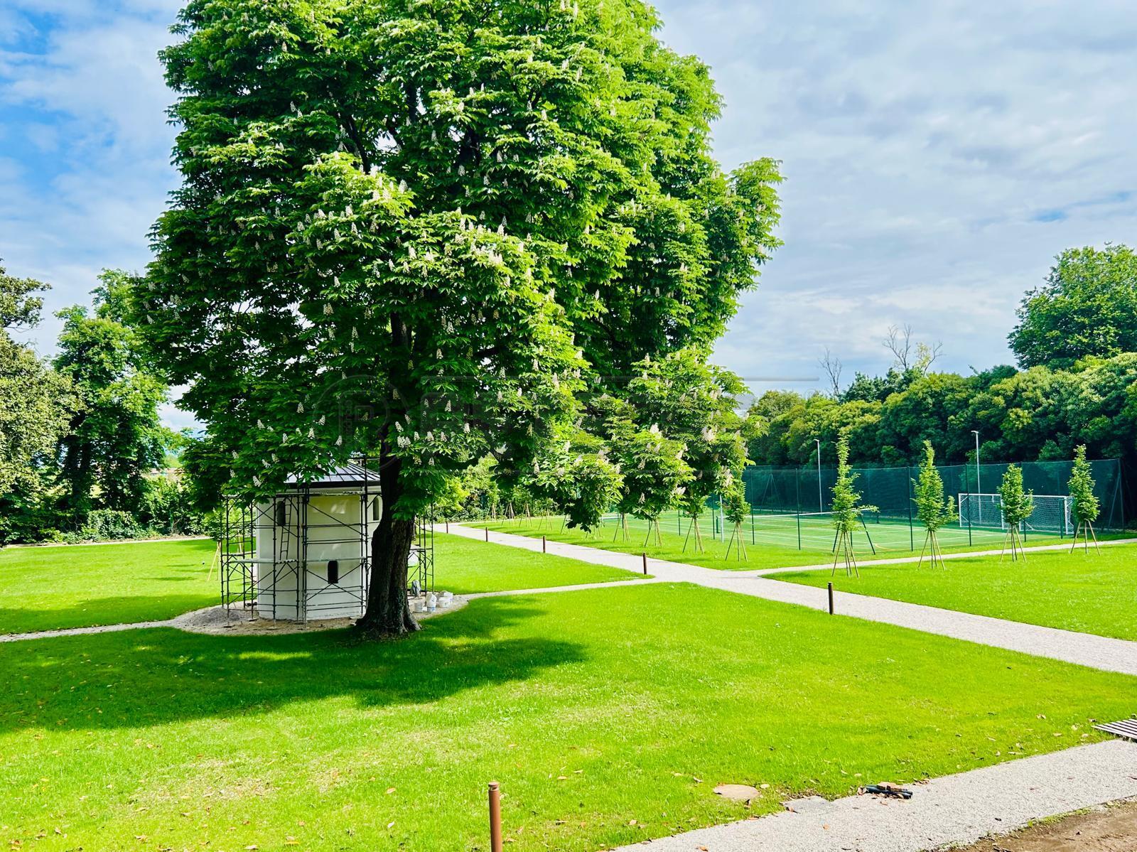 Appartamento con giardino in via zuccola 37, Bolzano Vicentino