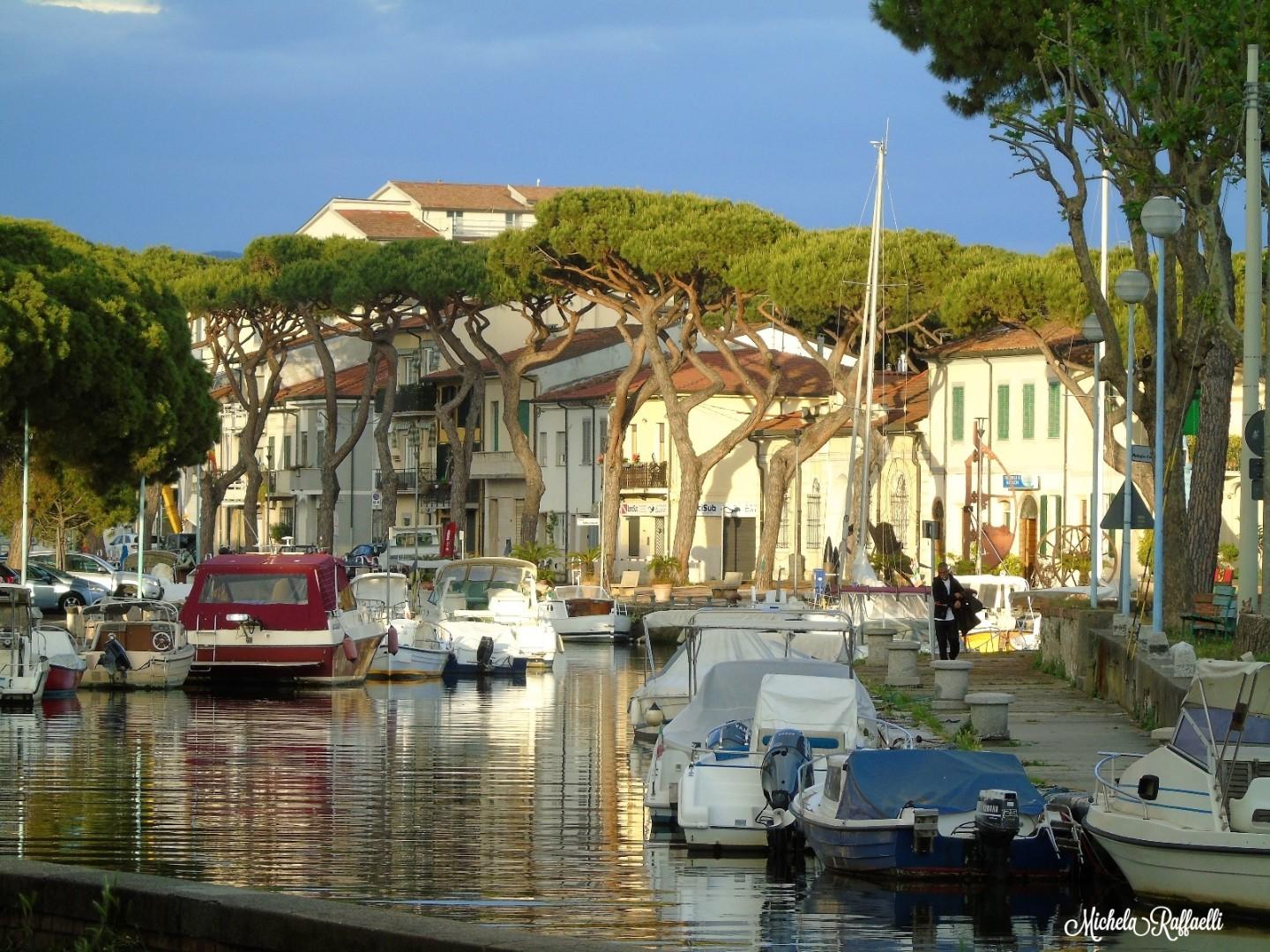 Negozio in affitto, Viareggio centro mercato