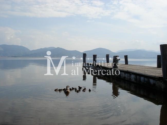 Locale commerciale vista lago, Viareggio torre del lago puccini