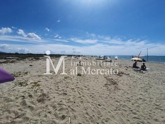 Quadrilocale in vendita, Viareggio centro pineta