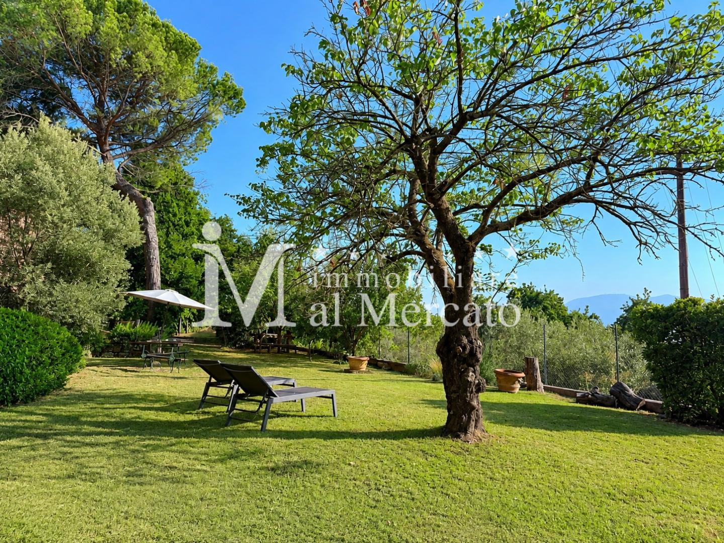 Villa con giardino a Montecarlo