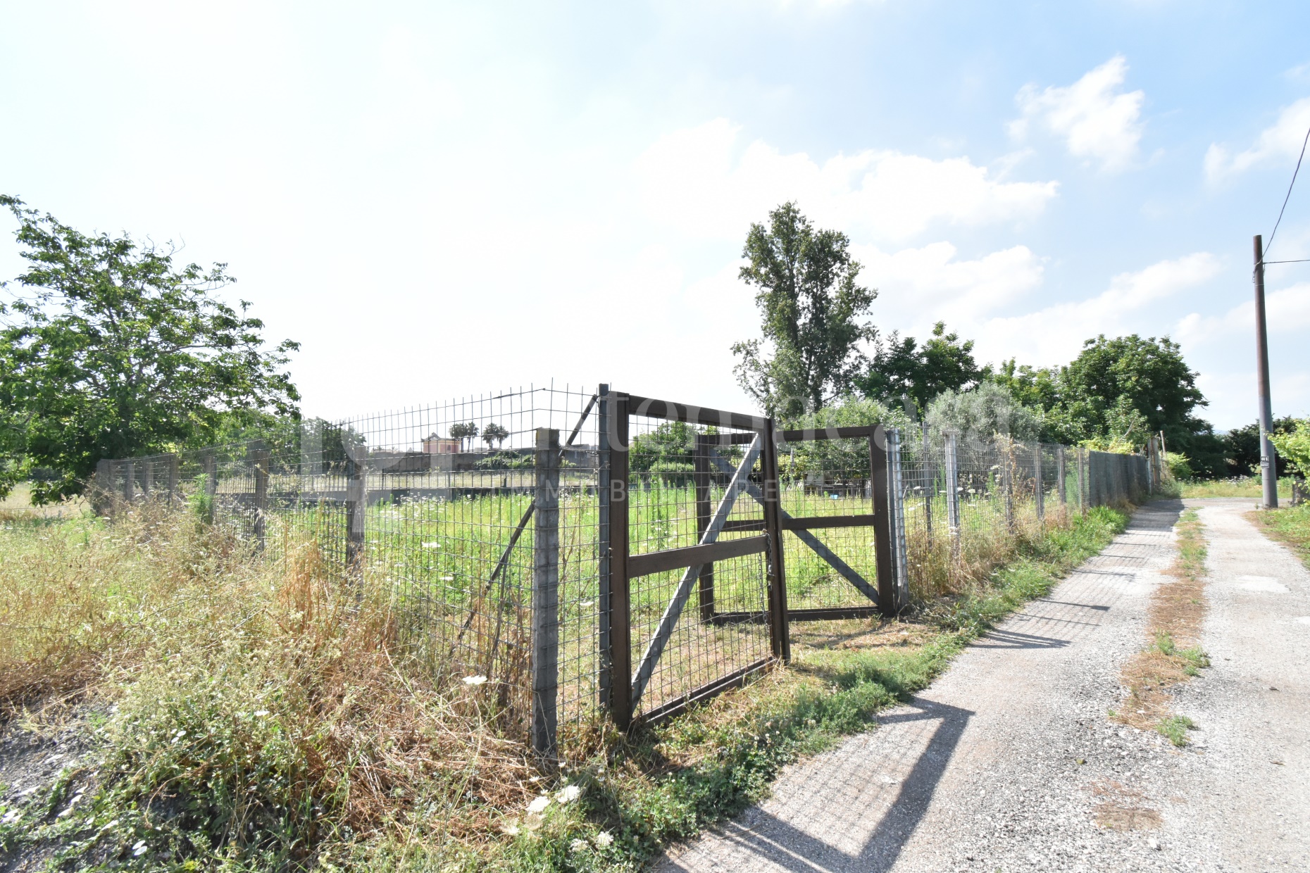 Terreno in vendita a Delianuova