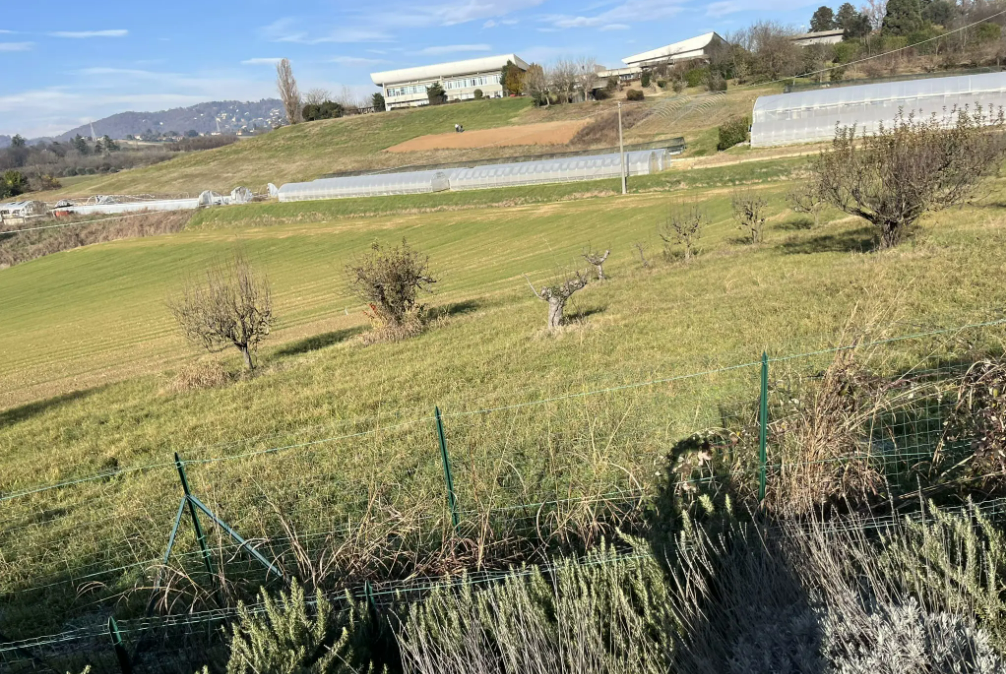 immagine annuncio 5 di 6