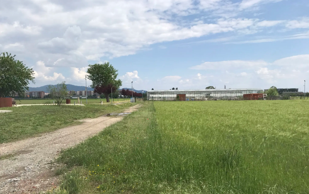 immagine annuncio 2 di 6