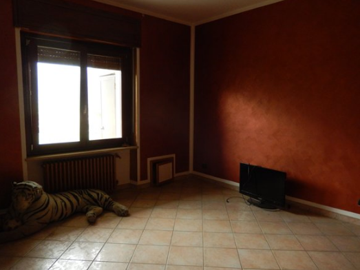 immagine annuncio 3 di 6