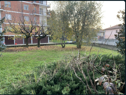 immagine annuncio 1 di 6