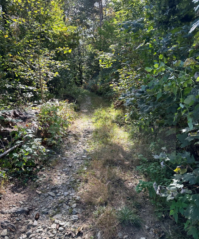 Casa indipendente da ristrutturare a Andrate