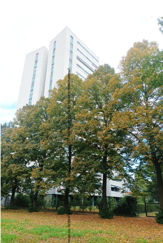 Bilocale in vendita a Nichelino