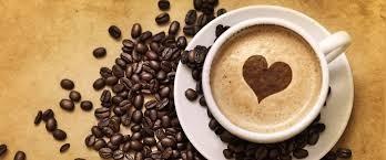 Attivit� commerciale in vendita a Venaria Reale