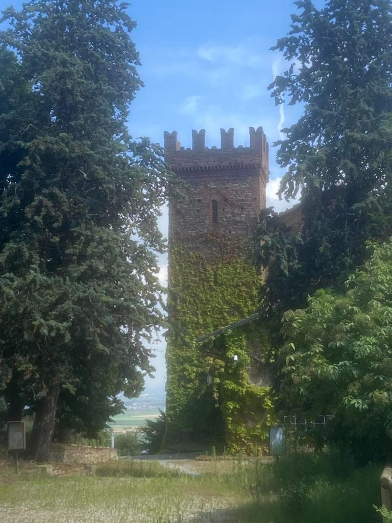 Castello in vendita a Piossasco