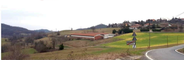 Attivit� commerciale in vendita a Brozolo