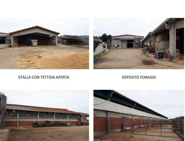 Attivit� commerciale in vendita a Brozolo