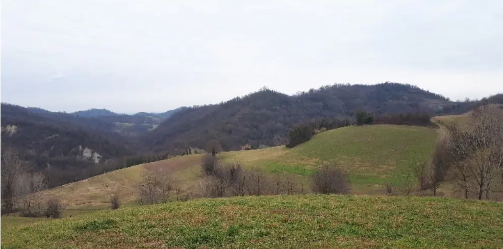 Terreno Agricolo in vendita a Brozolo