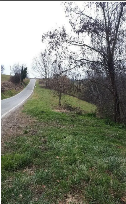 Terreno Agricolo in vendita a Brozolo