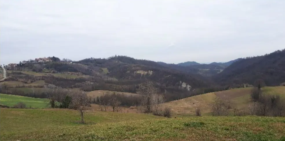 Terreno Agricolo in vendita a Brozolo