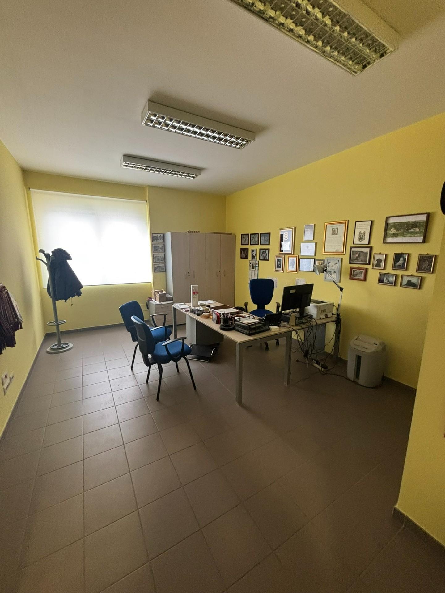 Stabile/Palazzo in vendita a Rivoli
