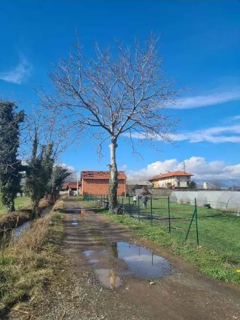 Rustico in vendita a Ciri�