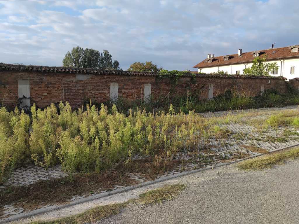 Terreno Edificabile in vendita a Vinovo