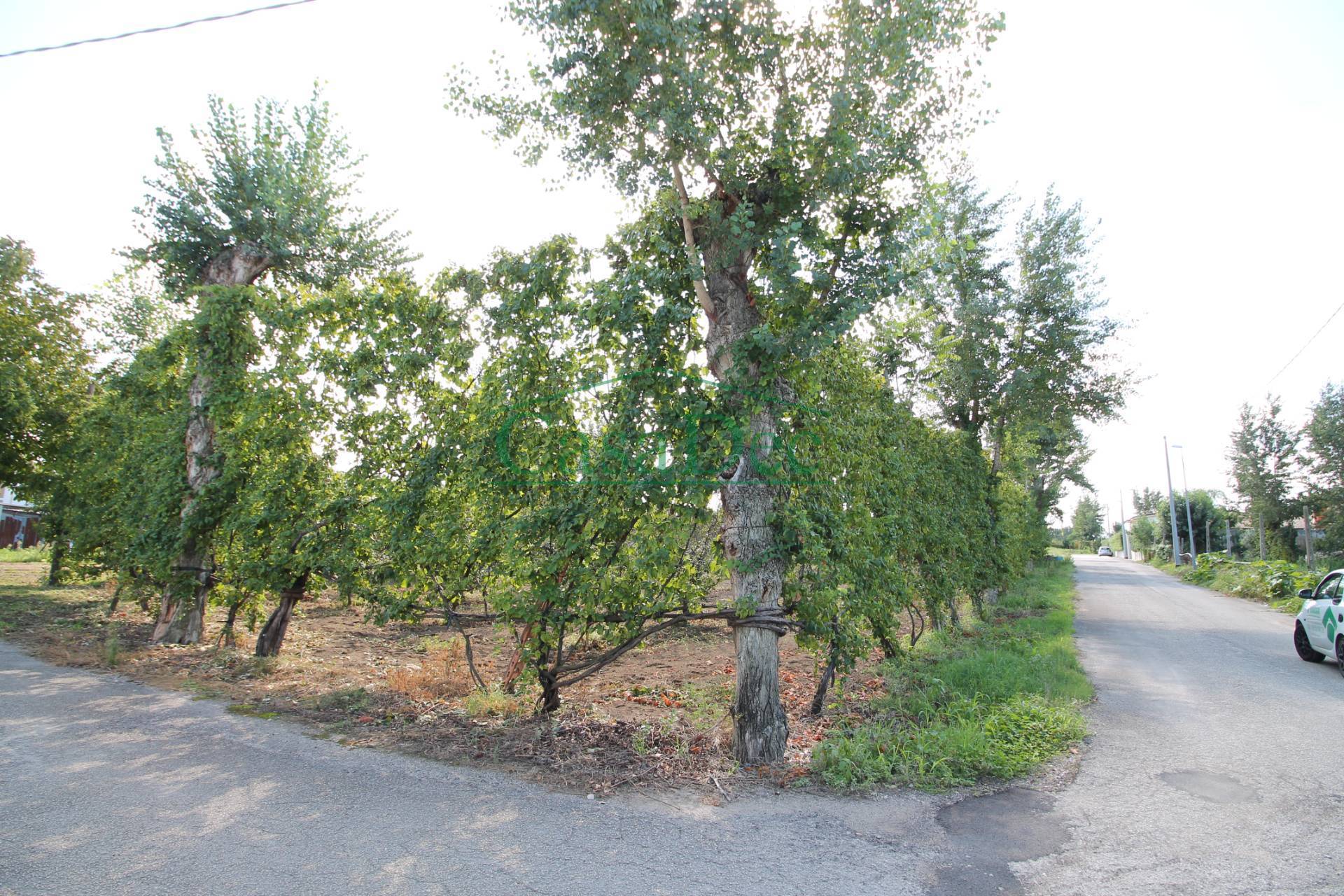 Terreno in vendita a Casapesenna