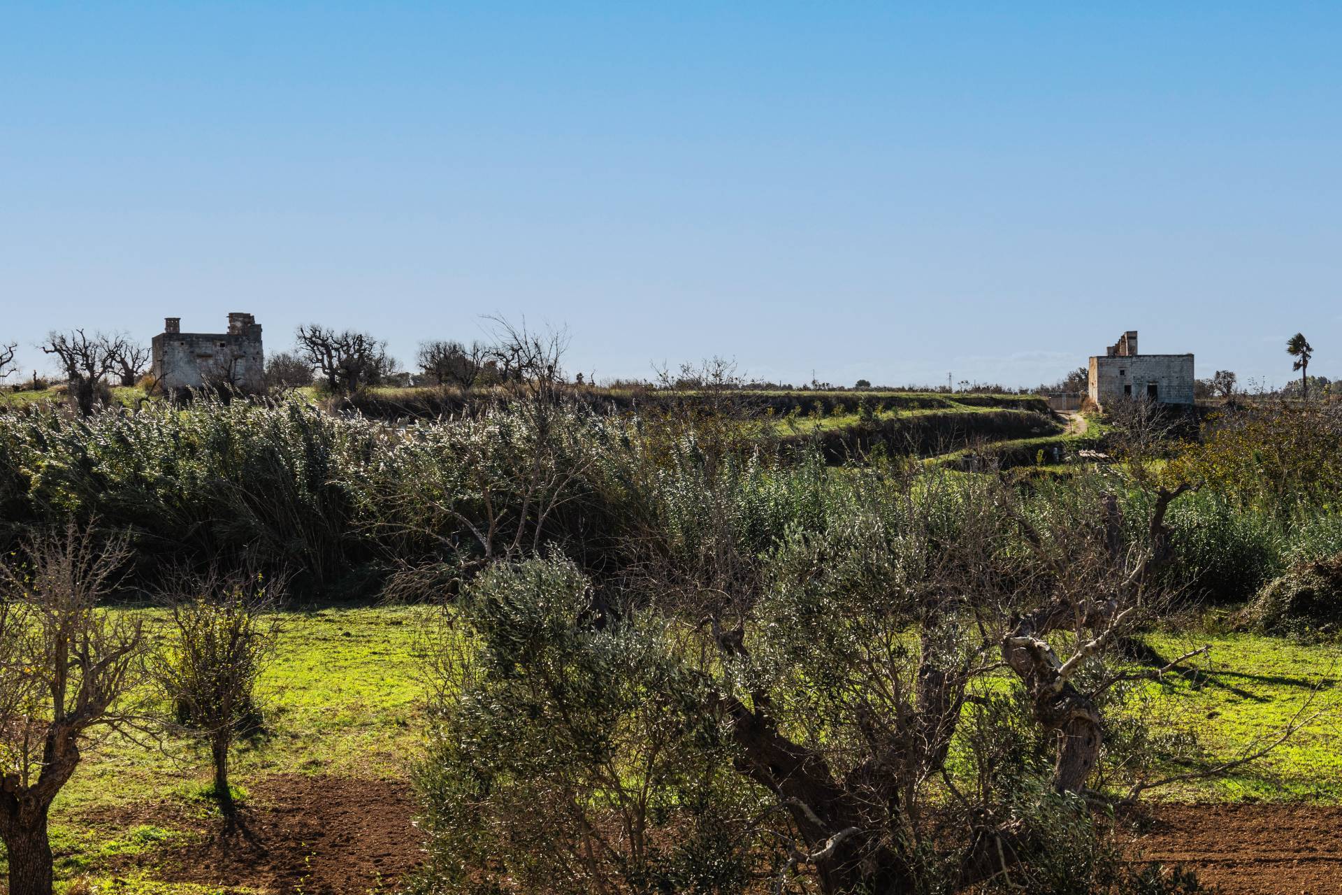 Villa in vendita a Sannicola