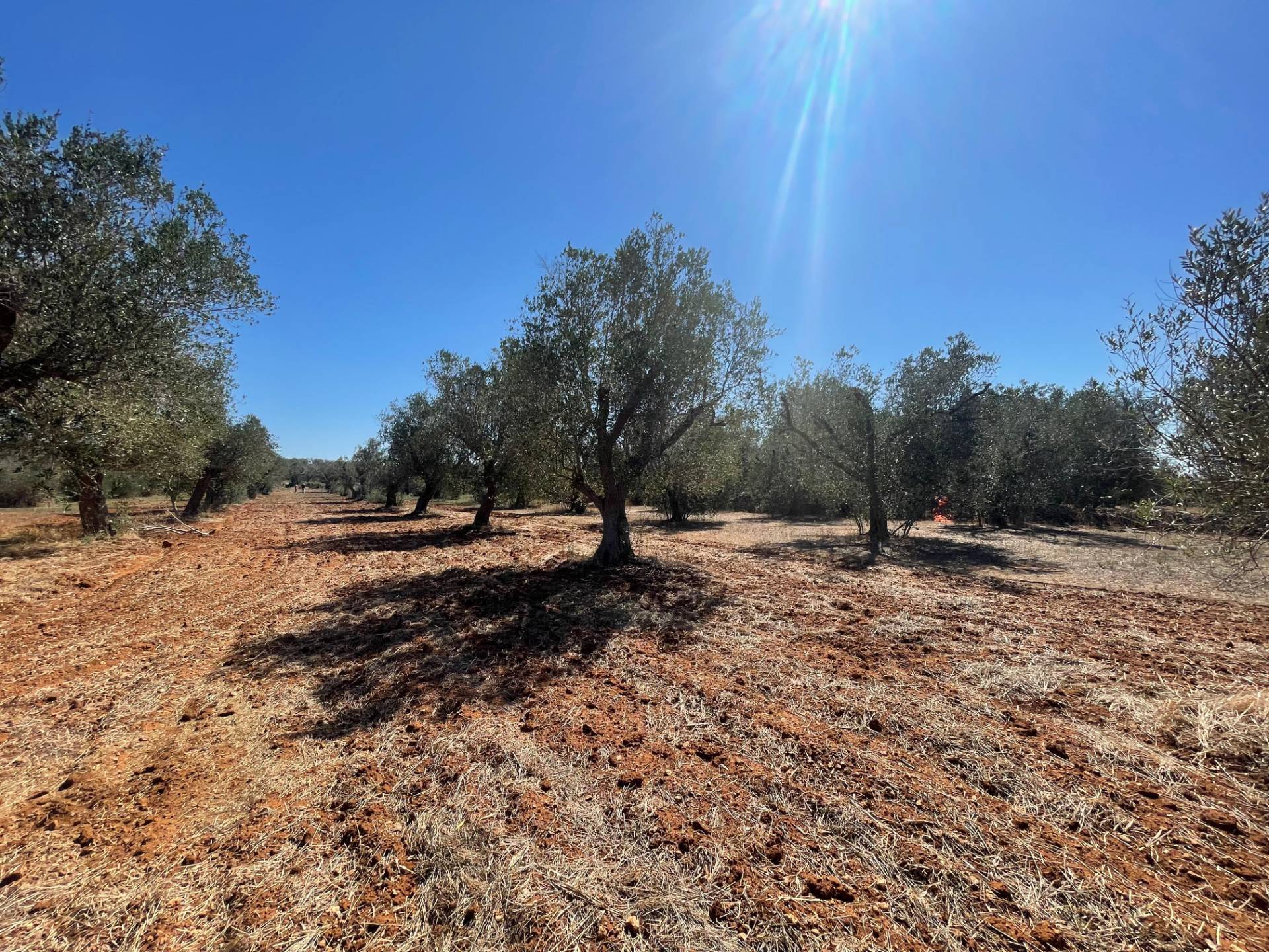Casale di campagna in vendita a Andrano, Castiglione