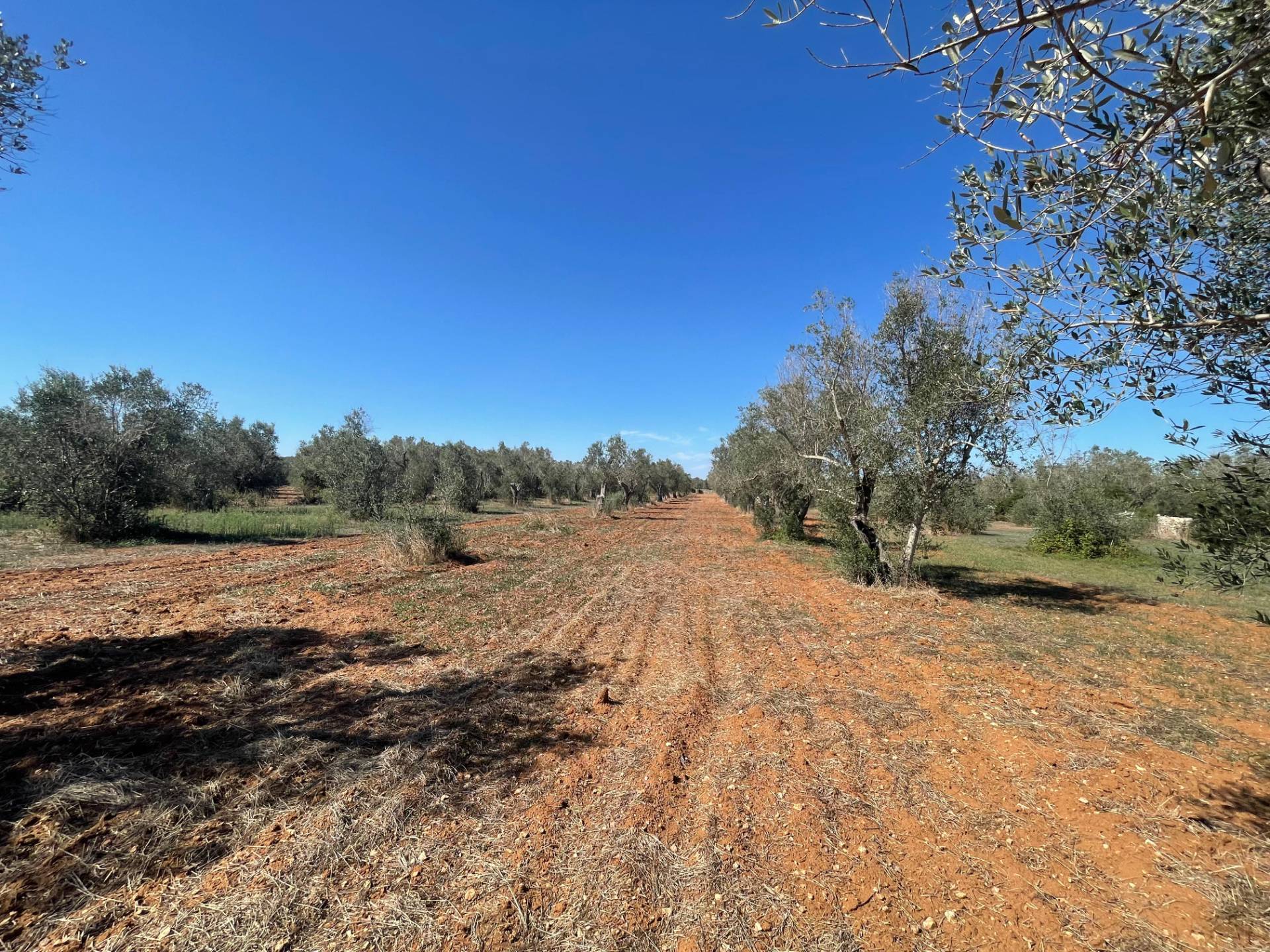 Casale di campagna in vendita a Andrano, Castiglione