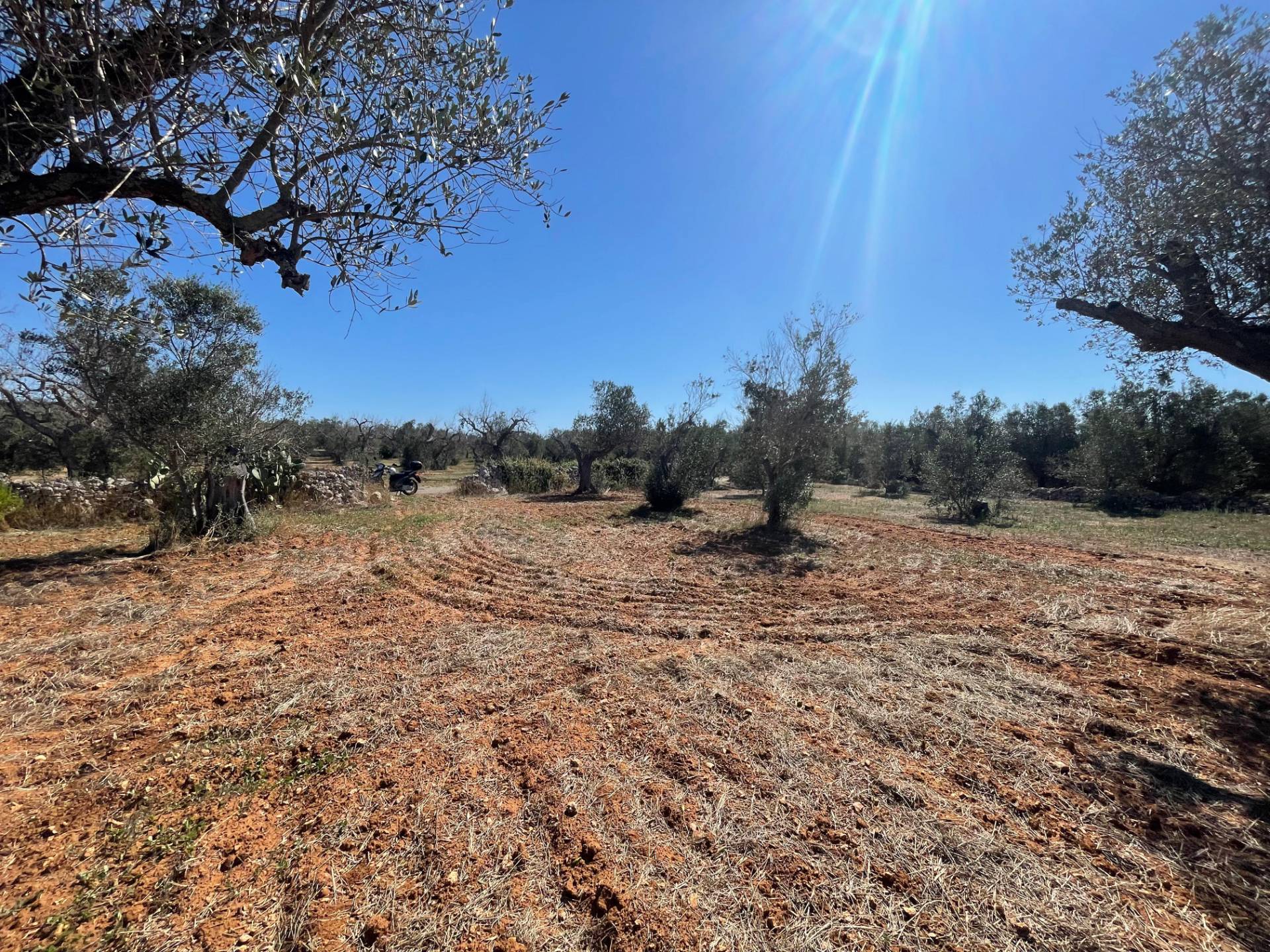 Casale di campagna in vendita a Andrano, Castiglione