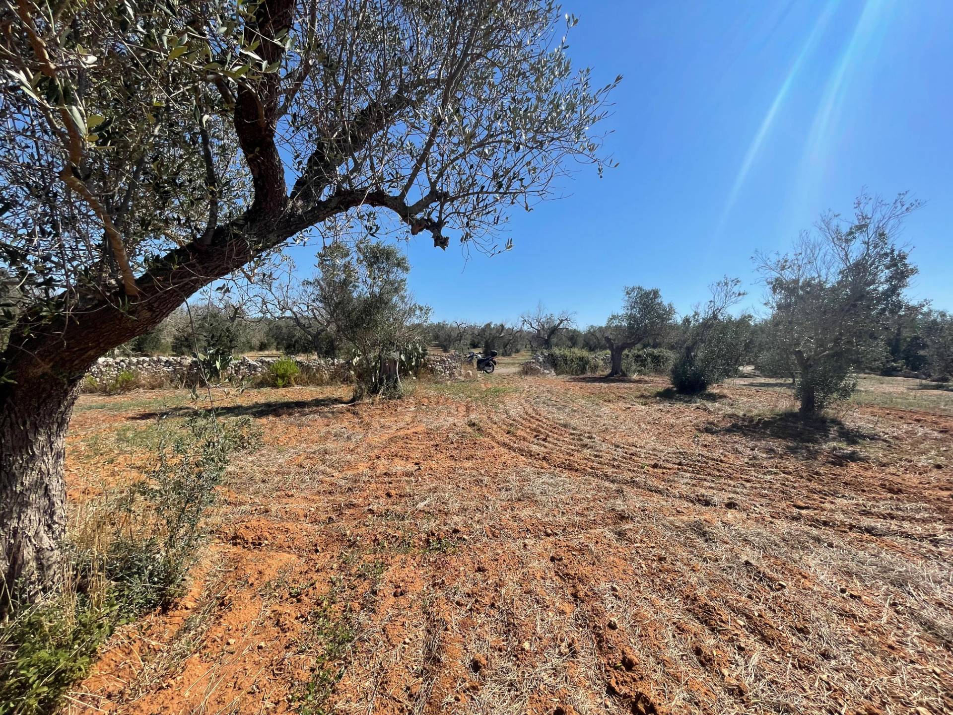 Casale di campagna in vendita a Andrano, Castiglione