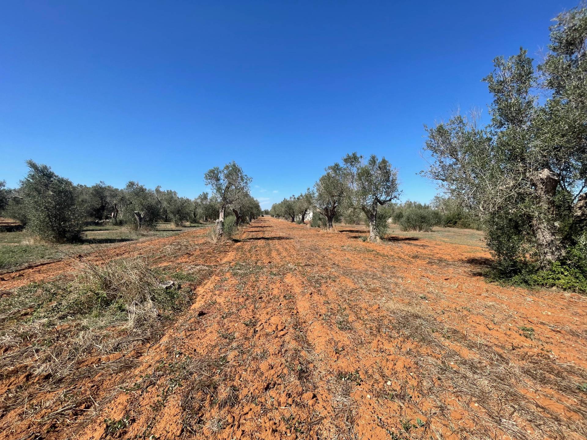Casale di campagna in vendita a Andrano, Castiglione