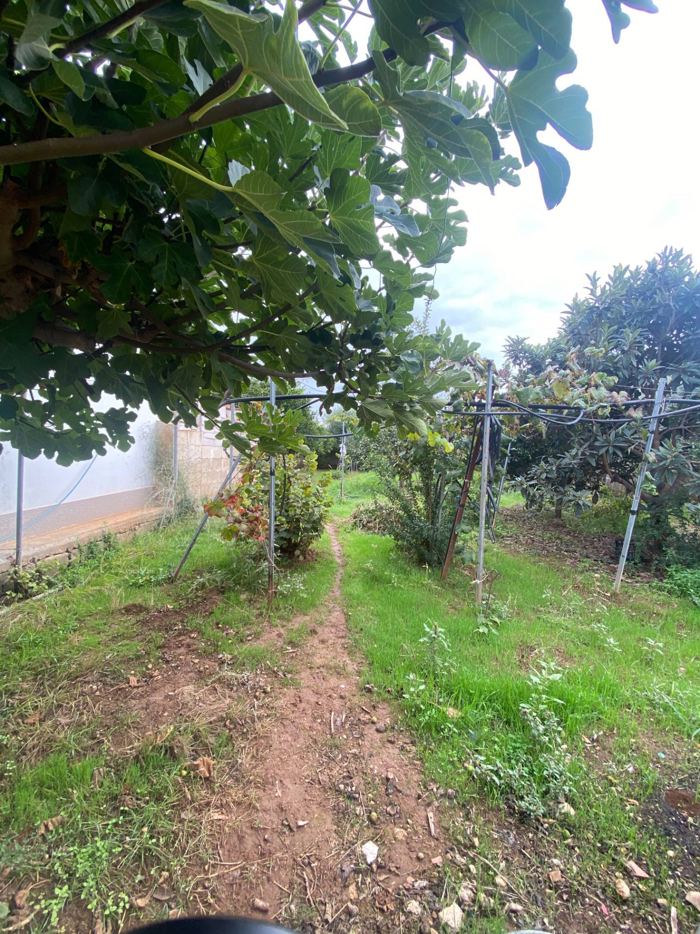 Appartamento in vendita a Lizzano