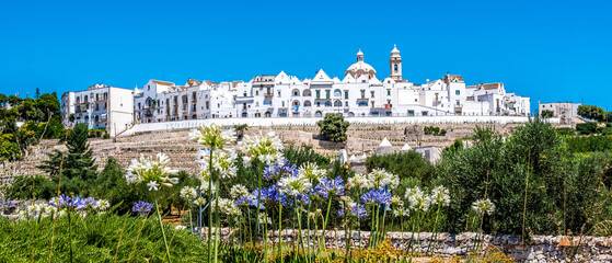 Terreno edificabile in vendita a Martina Franca