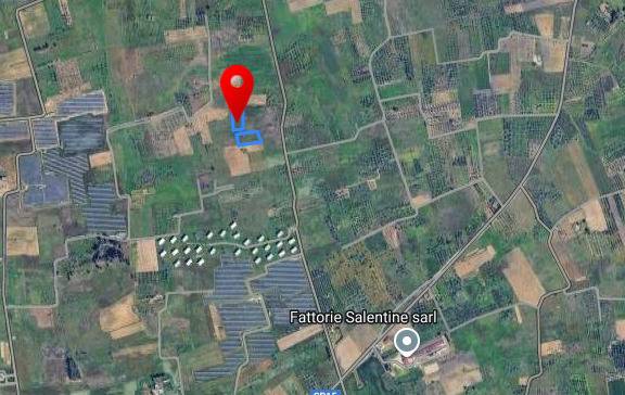 Terreno Agricolo in vendita a Veglie