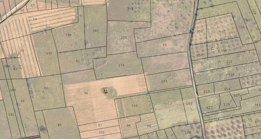 Terreno Agricolo in vendita a Veglie