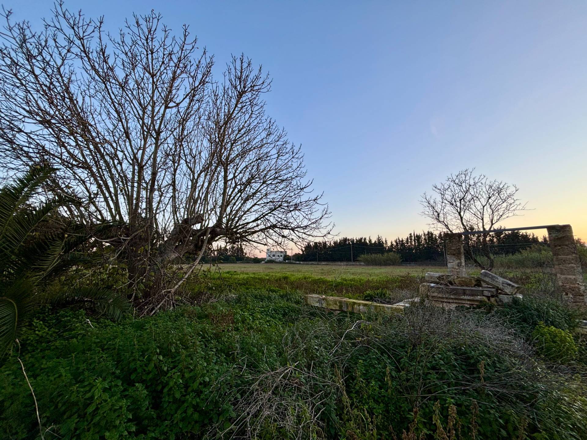 Terreno Agricolo in vendita a Arnesano