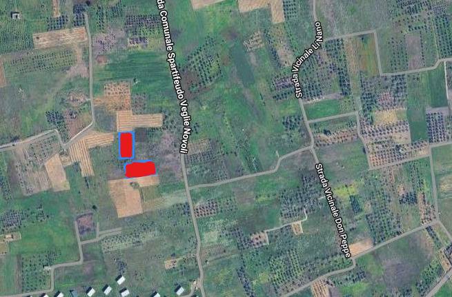 Terreno Agricolo in vendita a Veglie