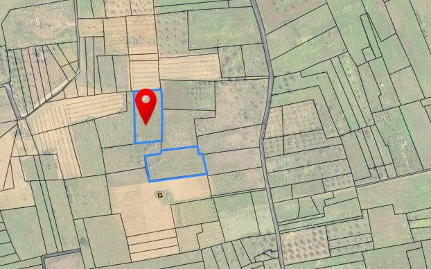 Terreno Agricolo in vendita a Veglie