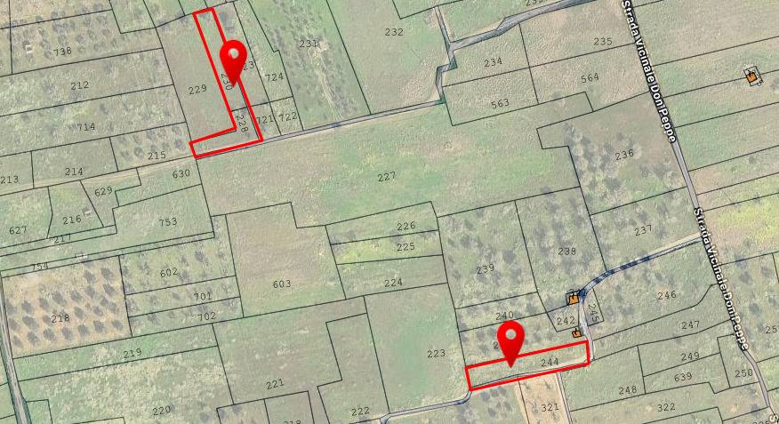 Terreno Agricolo in vendita a Novoli