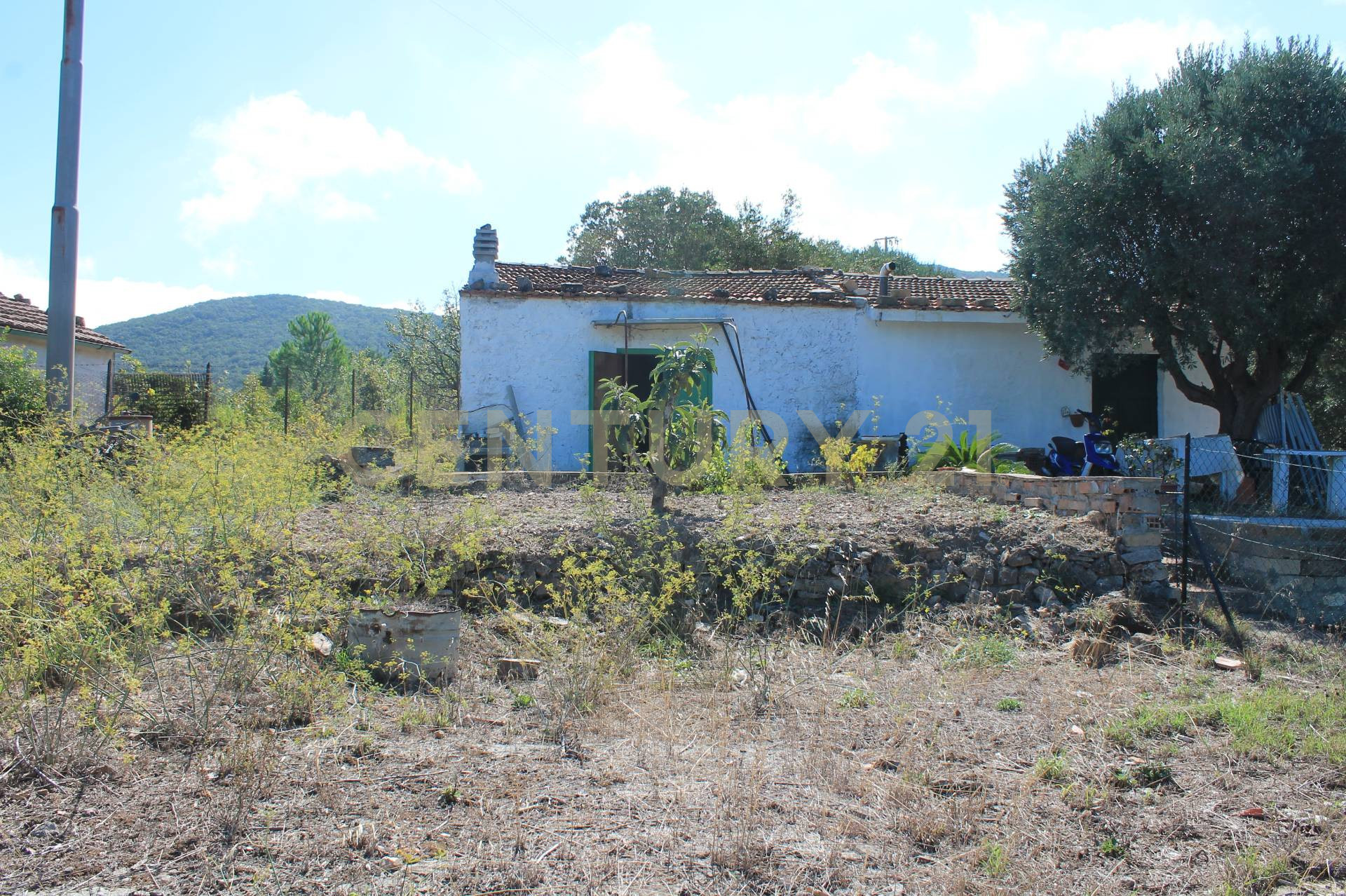 immagine annuncio 2 di 6