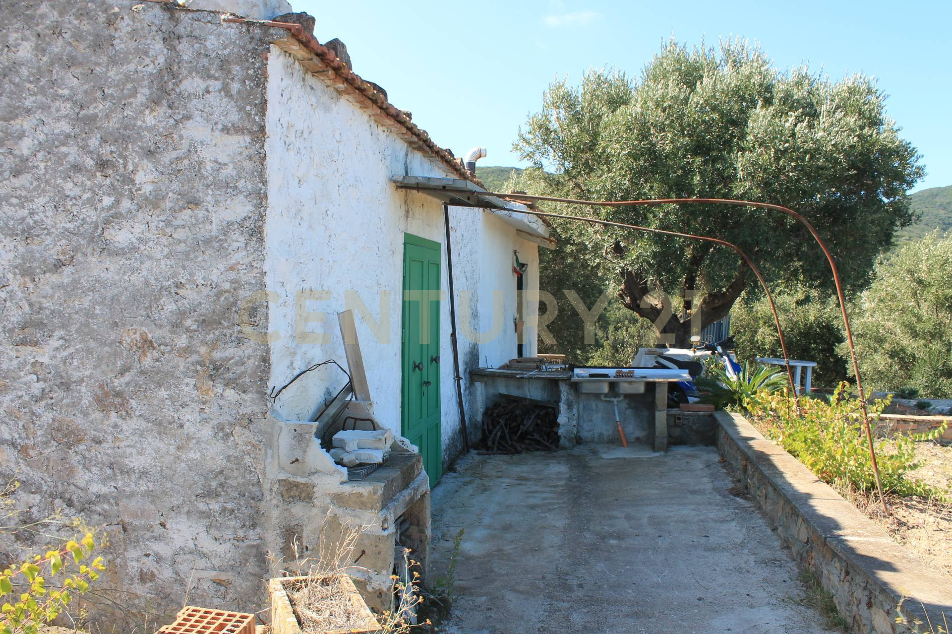 immagine annuncio 3 di 6