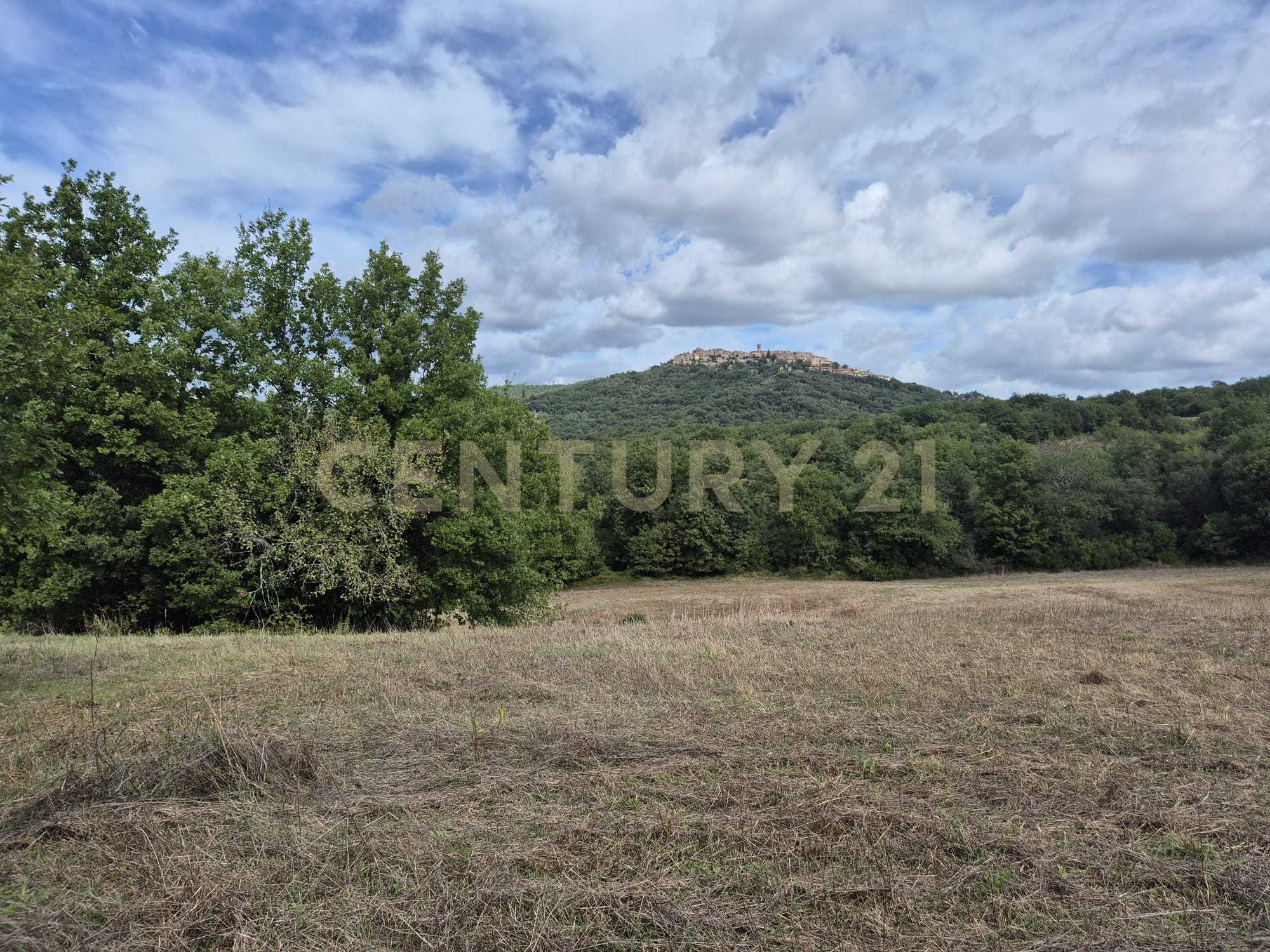 Terreno Agricolo in vendita in localit la vena snc, Civitella Paganico