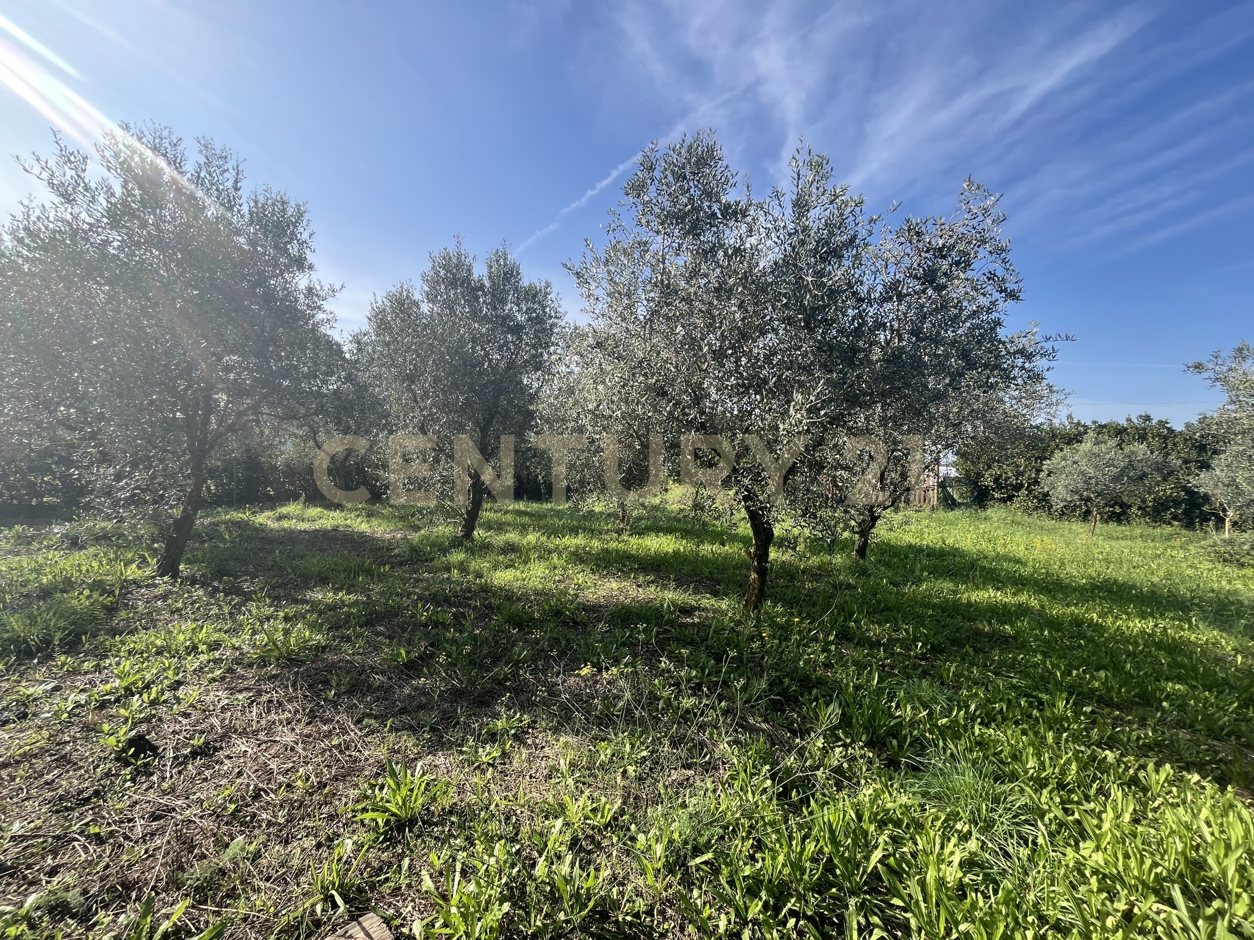 Terreno Agricolo in vendita in strada del querciolo, Grosseto