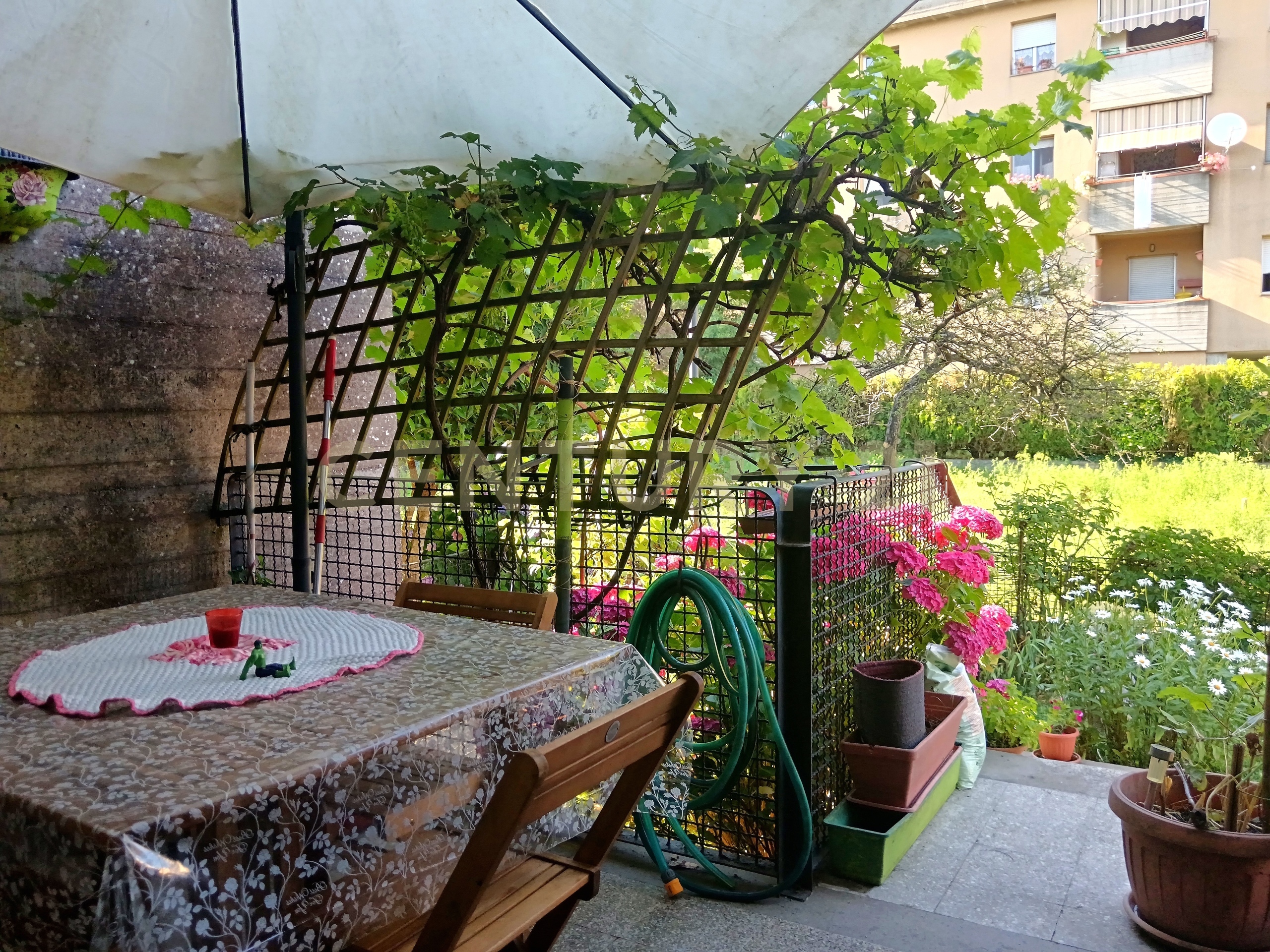 Loft con giardino in via sabatini 30, Abbadia San Salvatore