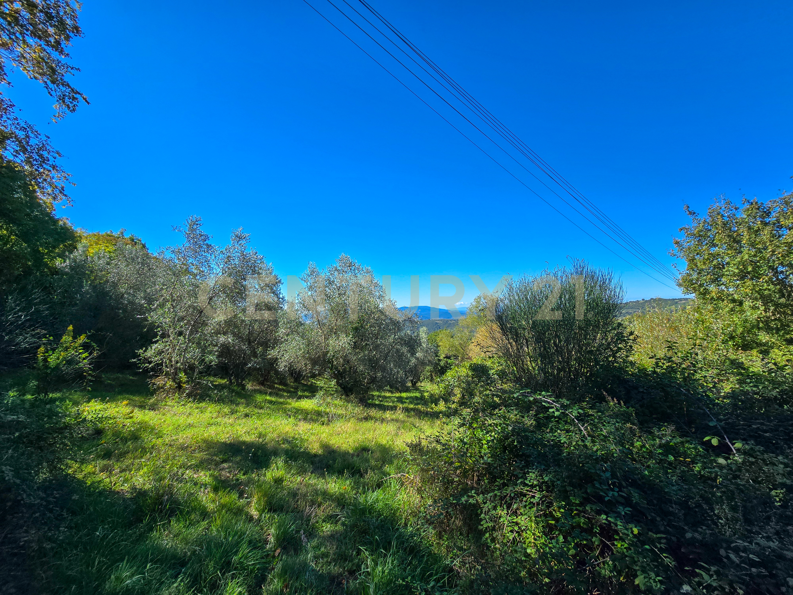 Monolocale con giardino in localit le coste snc, Roccastrada