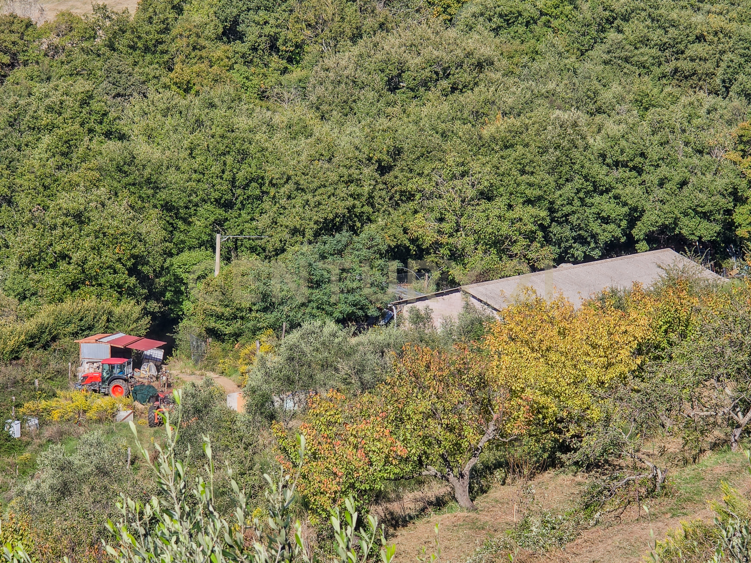 Monolocale con giardino in localit le coste snc, Roccastrada