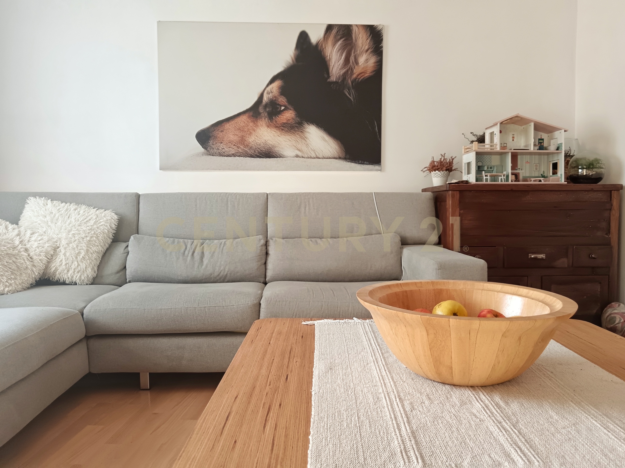 Appartamento con giardino in via xxv aprile 28, Abbadia San Salvatore